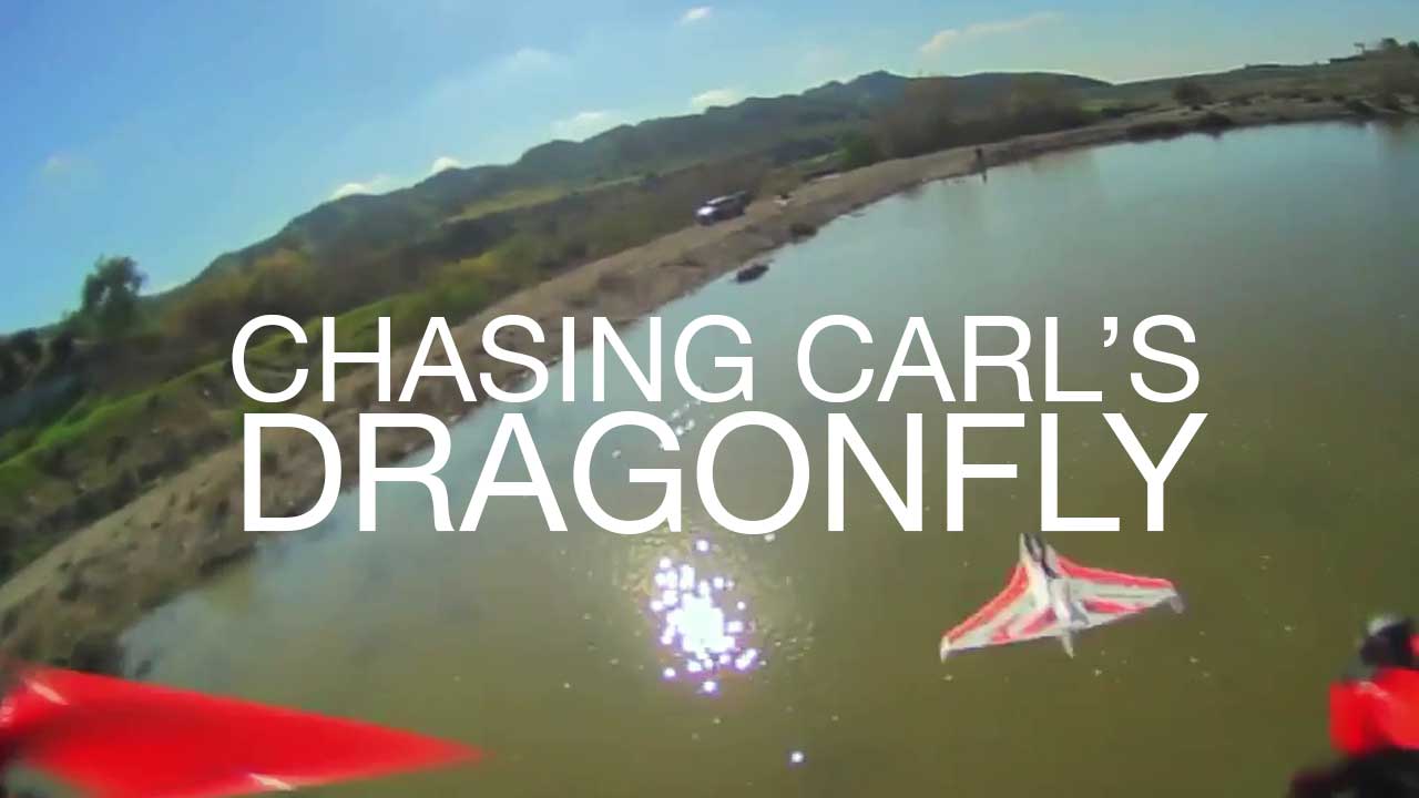 Chasing Carl’s Dragonfly – Video